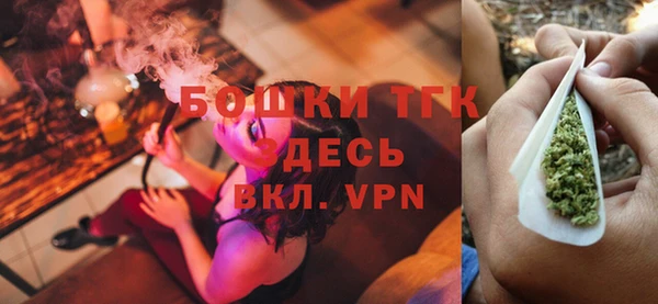 дживик Иннополис