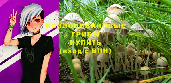 а пвп мука Инта