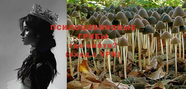 MESCALINE Инсар