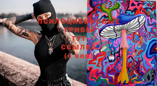 дживик Иннополис