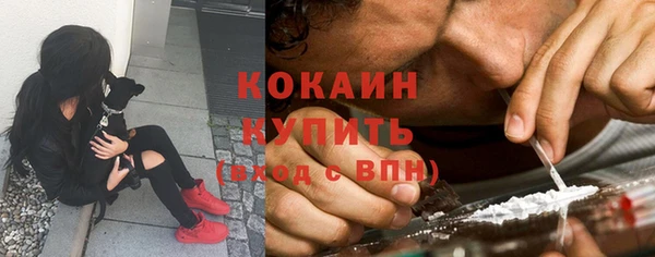 дживик Иннополис